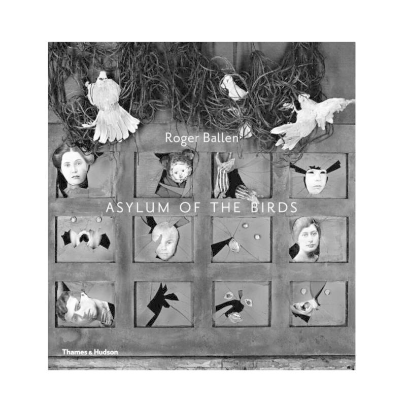 AsylumoftheBirds鸟类的庇护