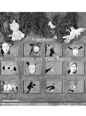 预售 Asylum of the Birds鸟类的庇护 T&H英文进口原版摄影画册 华源时空