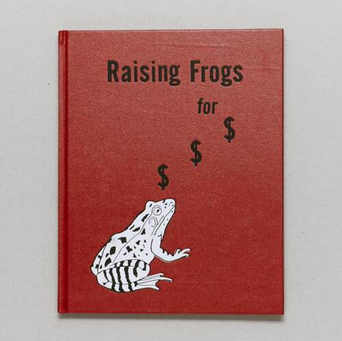 预售85天【保证正版】杰森富尔福德 养蛙 Jason Fulford  Raising Frogs For $$$ 艺术原版 华源时空
