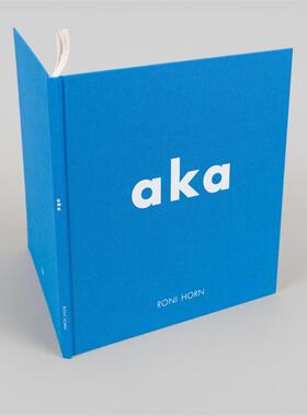 预售 Roni Horn Aka罗尼霍恩 Steidl 英文进口原版摄影画册 华源时空