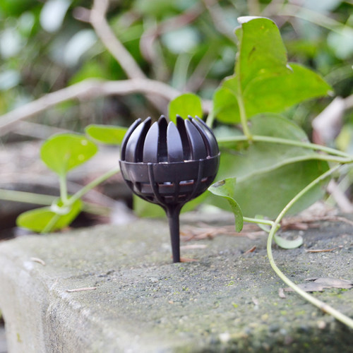 盆栽施肥价格 盆栽施肥图片 星期三