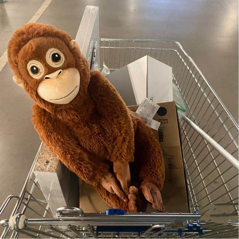 小红书同款猩猩猴子毛绒玩偶公仔小猩猩送女生朋友礼物娃娃可爱,模玩/动漫/周边/娃圈三坑/桌游,棉花娃娃/毛绒玩具娃衣,淘宝优惠券,粉丝福利购,淘宝优惠卷