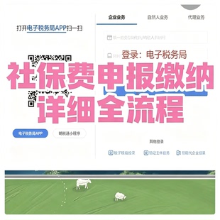 电子税务局社保费申报缴纳完整操作流程企业办税图文教程