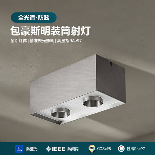 西点照明包豪斯明装免开孔斗胆灯
