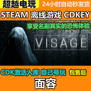 Visage面容Steam正版离线游戏全DLC包更新CDKEY可激活入库