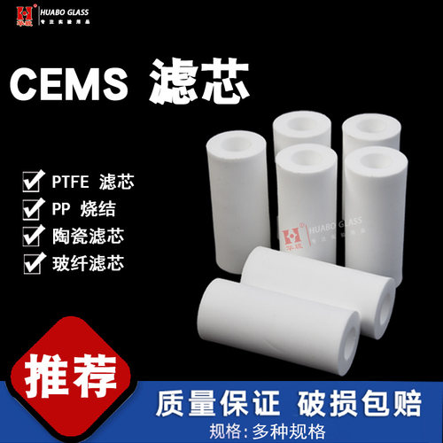 CEMS保护过滤器滤芯二级滤芯PE高分子玻纤SS-2T过滤器FP-2T烟气