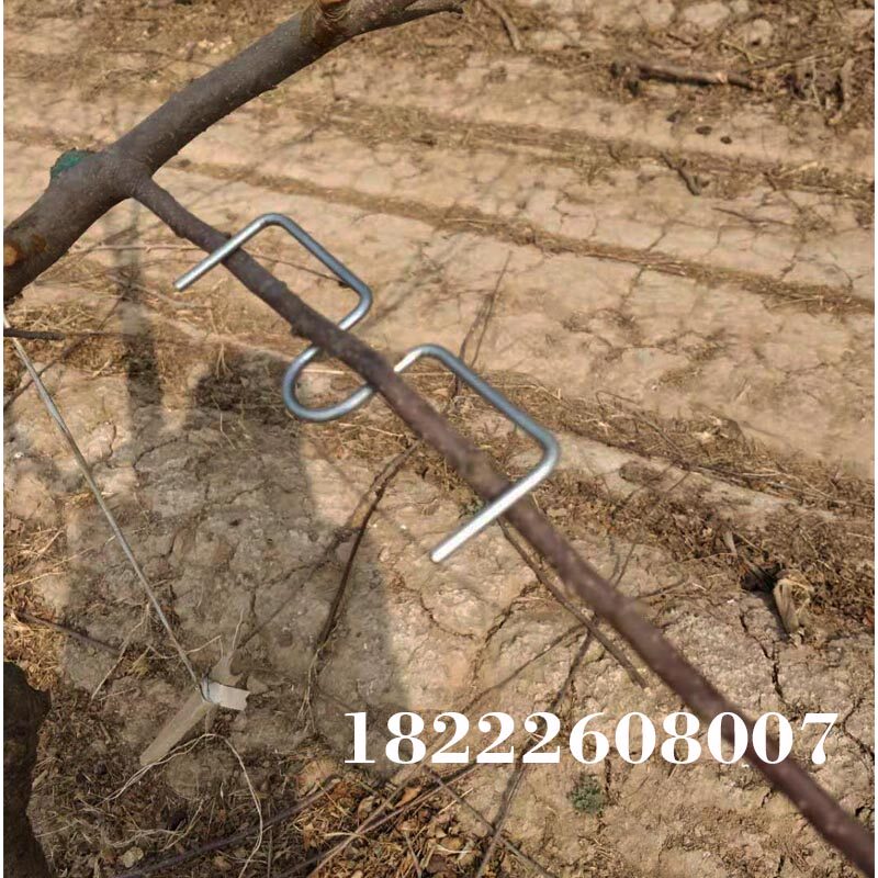 苹果樱桃梨李子弯枝别枝开角拉枝sme定型压枝器柑橘果树折枝神器