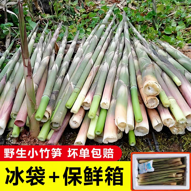 2026新鲜野生江西水竹笋雷天目山竹小油焖笋甜现拔现摘农民家包邮