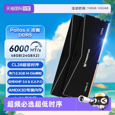 6000c2816Gx2台式内存条掠夺者