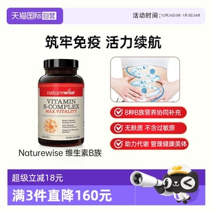 Naturewise牌复合维生素B族b1b2b6b12烟酰胺叶酸男女多维 自营