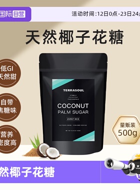 【自营】进口Terrasoul椰子花糖棕榈糖烘焙冲饮代用糖调味糖500g