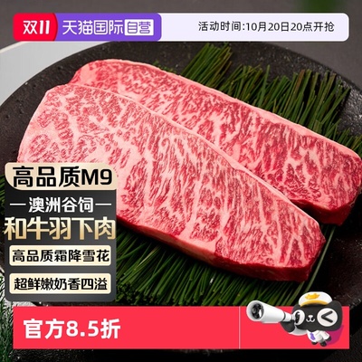 【自营】澳洲和牛m9翼板肉羽下肉上脑边牛排原切谷饲雪花牛肉