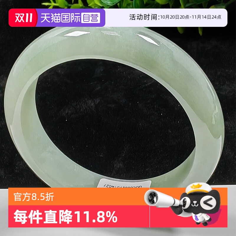 【自营】浅语拾光缅甸天然A货翡翠冰润嫩芽绿满绿种老细腻玉手镯