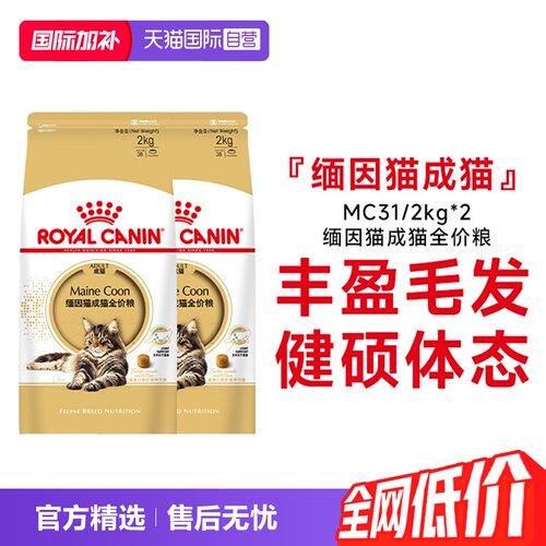 皇家缅因猫MC31营养美毛呵护肠胃