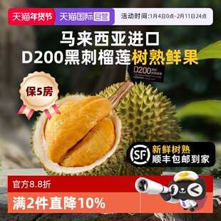 【自营】市舶士马来西亚进口D200黑刺榴莲鲜果新鲜整果树熟顺丰