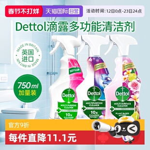 【自营】Dettol滴露多功能清洁喷雾冰箱浴室地板除菌除霉清洁剂液