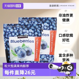 2袋装 kirkland柯克兰蓝莓干567g烘焙果脯蜜饯健康零食 自营