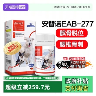 安替诺Antinol277髌骨脱位软骨素猫狗安它诺关节强炎腰椎 自营