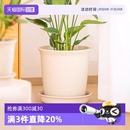 自营 爱丽思日本ZEN树脂加厚多肉花盆室内爱丽丝仿陶瓷塑料盆