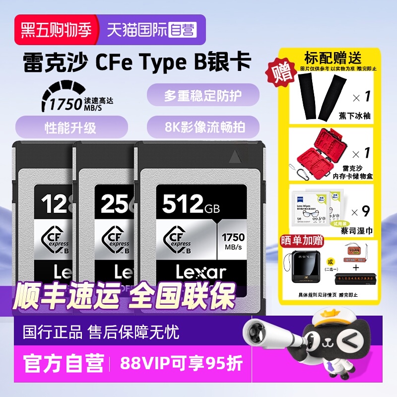 官方自营雷克沙CfeTypeB存储卡