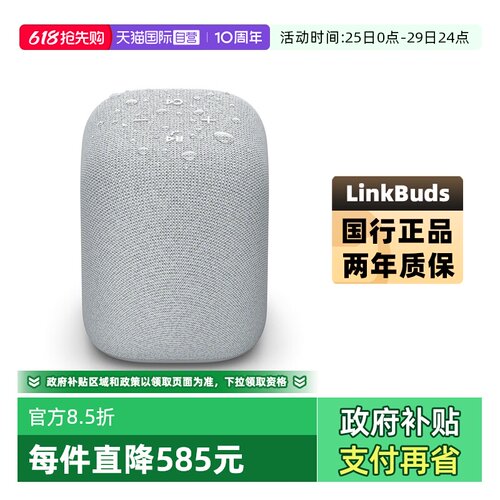 Sony/索尼LinkBuds无线蓝牙音箱