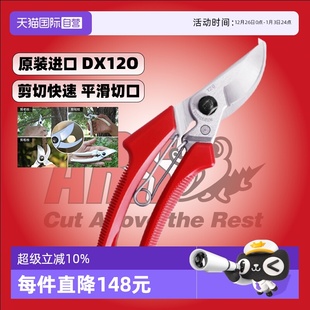日本进口ARS爱丽斯修枝手剪刀120DX花艺果树盆景园林工具 自营