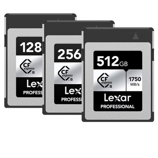 【自营】雷克沙CFE-B单反数码相机内存卡佳能/尼康松下大疆存储卡