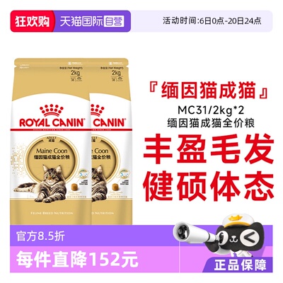 皇家缅因猫MC31营养美毛呵护肠胃