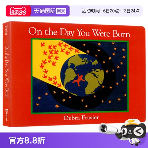 在你出生的那一天纸板书