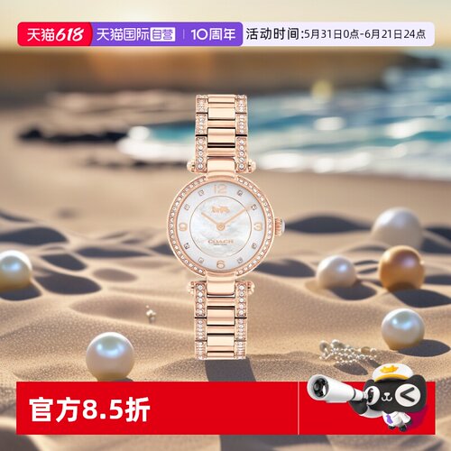 COACH/蔻驰时尚设计欧美腕表