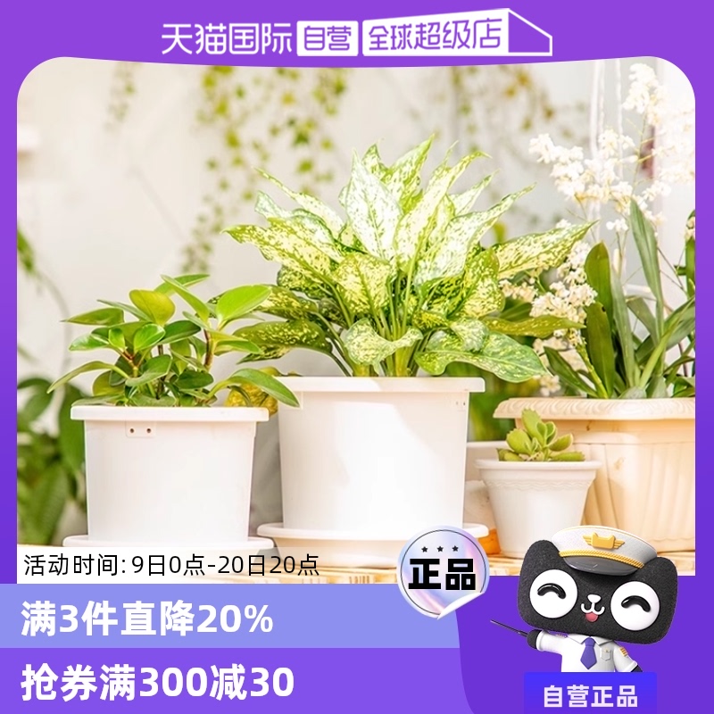 ɫ ֬  ֱӪ˼ɫdeepot¼֬12.54Ԫ3(4.18Ԫ/88VIP 95)