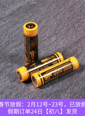 SKILHUNT思凯特BL-250 21700充电锂电池5000mAh带保护板8A大电流