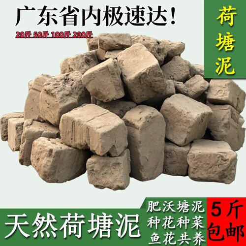 荷塘泥塘泥通用营养土种花种菜