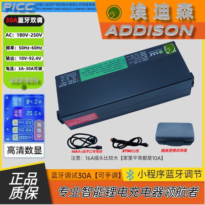 正品埃迪森锂电池铝壳专用充电器