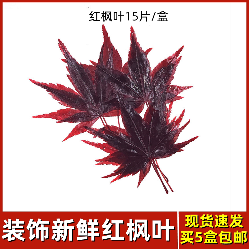 中西餐装饰新鲜红枫叶海鲜拼盘摆盘花草酒店私房菜美观造型鲜树叶