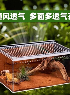 高清亚克力爬宠生态饲养箱