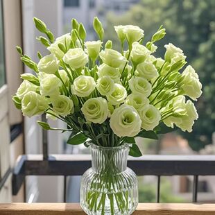 云南稀有色洋桔梗新鲜鲜花基地直发办公室家庭插花室内家用水养