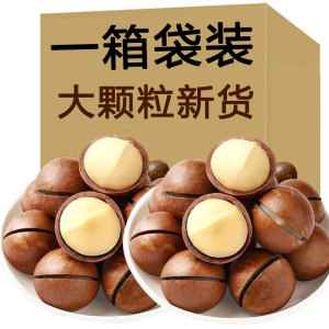 坚果特产大颗粒夏威夷果2斤新货