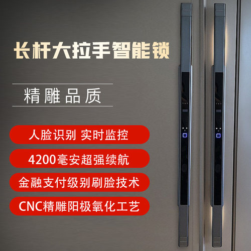 别墅双开门木门长杆大拉手智能锁