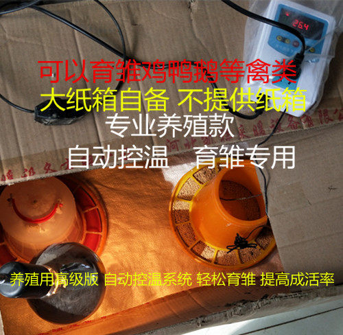 保温灯芦丁小鸡育雏箱保温箱智能控温灯小鸡鸭鹅鹌鹑育雏养殖设备
