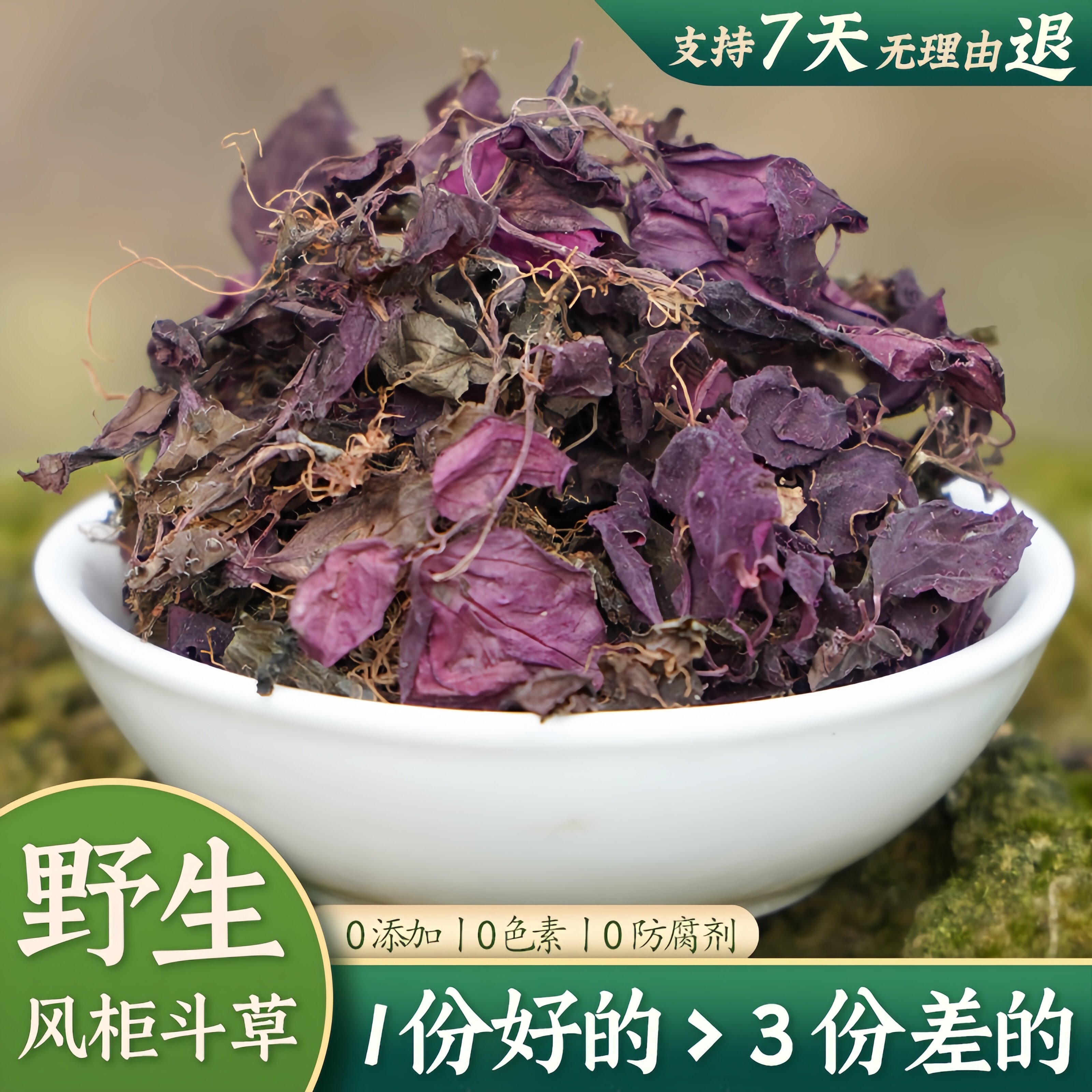 【正宗野生风柜斗草】风鼓草深山风骨草风谷草内穗草风谷草楮头红