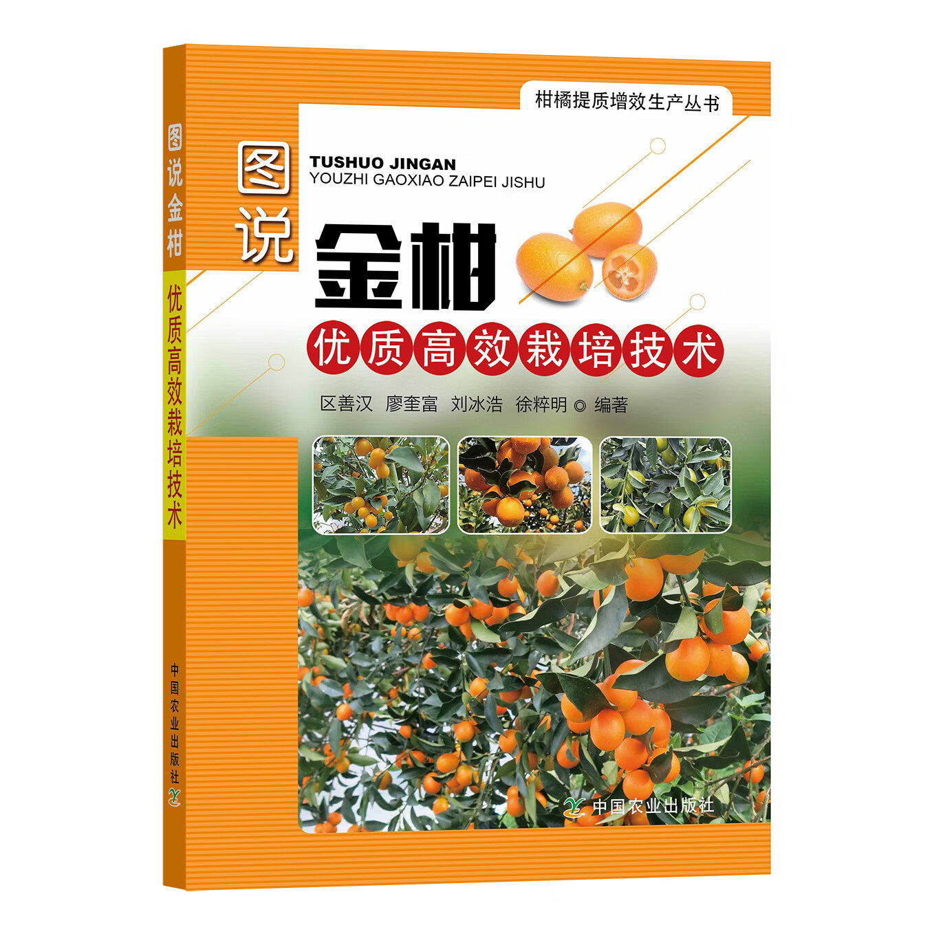正版包邮  图说金柑优质高效栽培技术 323490 柑橘提质增效生产丛书 区善汉,廖奎富,刘冰浩,徐粹明