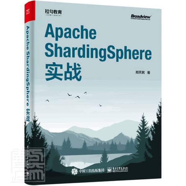 正版包邮 Apache ShardingSphere实战郑天民书店计算机与网络书籍 畅想畅销书