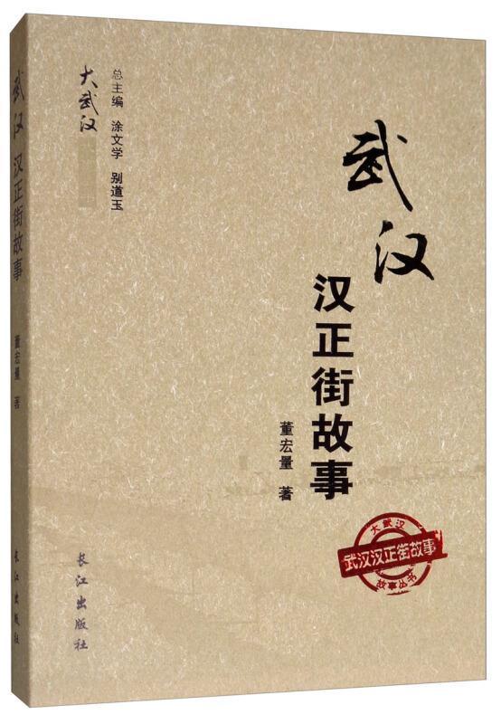 正版武汉汉正街故事/大武汉故事丛书董宏量书店历史书籍 畅想畅销书