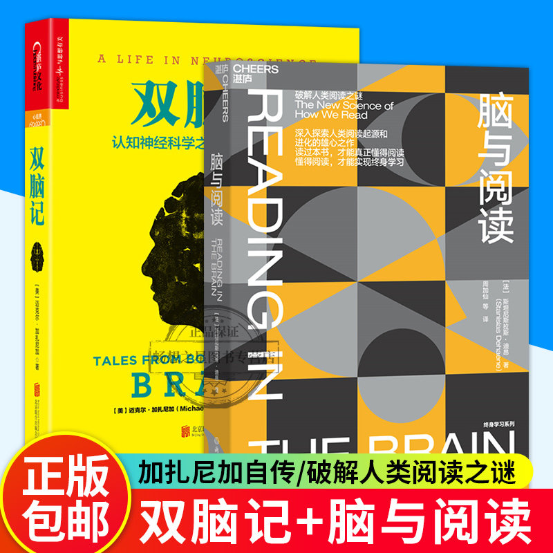 湛庐文化  脑与阅读 破解人类阅读之迷 +双脑记 2册 增强脑力记忆力方法训练逻辑思维提高反应能力脑力开发书 社会科学 应用心理学