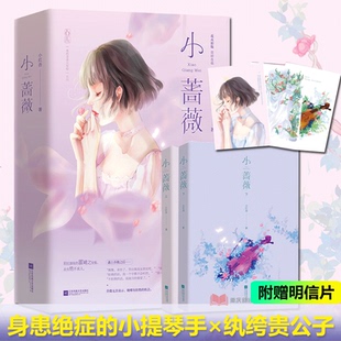正版包邮 小蔷薇上下全2册 小红杏情深虐恋跨越生死花火都市言情小说书籍身患绝症的小提琴手×纨绔贵公子