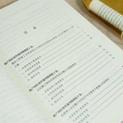 破产纠纷案件裁判规则:一:破产债权效力与破产财产曹守晔法律书籍