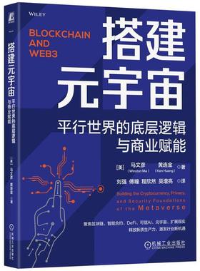 正版搭建元宇宙:行世界的底层逻辑与商业赋能:building the cryptocurrency, priva马文彦黄连金书店计算机与网络书籍 畅想畅销书