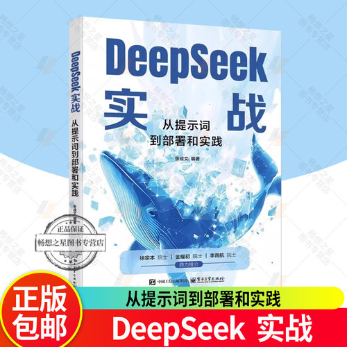 正版 DeepSeek实战 从提示词到部署和实践 MoE架构与多Token预测 Web UI对话界面搭建 RAG系统构建 大模型应用书籍