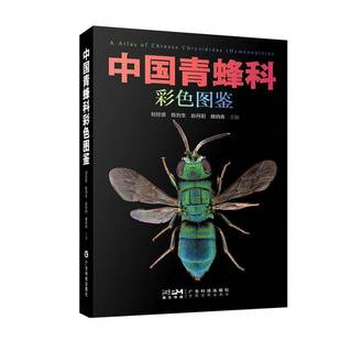 检索表各个种类 中国青蜂科彩色图鉴 图文式 青蜂科不同分类阶元 简要特征图及动物区系分布等信息 刘经贤27属180种附有我国分布